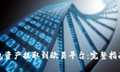 如何将TP钱包资产提取到欧