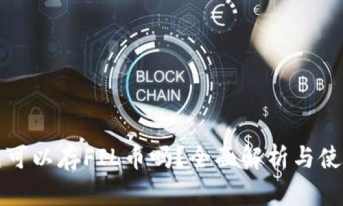 TP钱包可以存FIL币吗？全面解析与使用指南